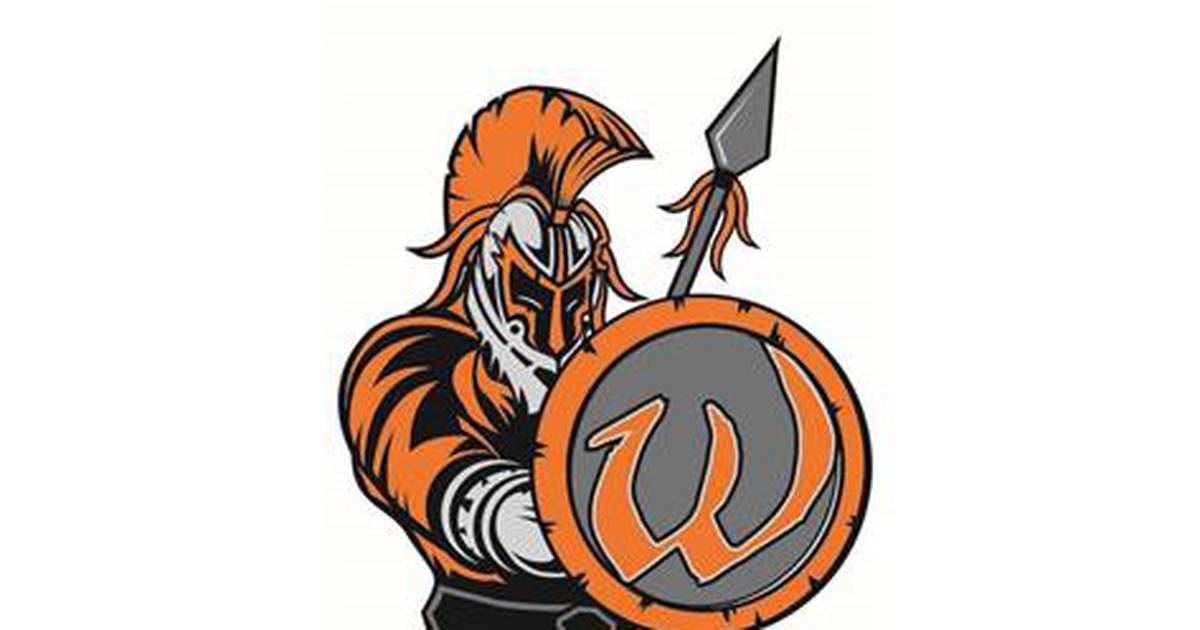 Lincoln-Way West notches volleyball sweep over Andrew: The Herald