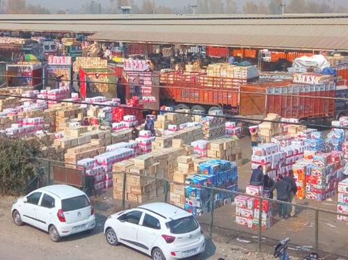 Kashmir: Jablipora Fruit Terminal Operational; Rs 1200 Cr trade Recorded This Season