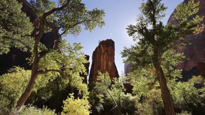 Man dies after fall while rappelling in Zion National Park canyon