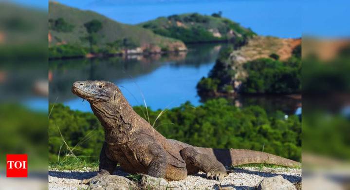 Why this famous National Park in Indonesia has restricted tourist entry suddenly
