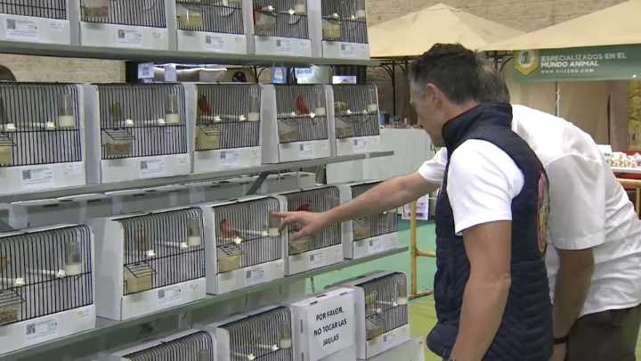 La Albuera se convierte en capital de la ornitología, con más de mil aves en exposición; del 17 al 19 de octubre