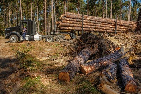 Georgia farmers set to receive $531M in federal disaster aid, though no details yet on how to apply