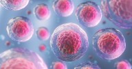 Targeting Hidden Breast Cancer 'Sleeper Cells' May Prevent Relapse