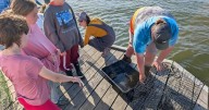 Lucy School's 7th, 8th graders visit, learn about Chesapeake Bay