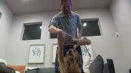 Dog climbs 47 Colorado 14ers with his owner, blazing a trail of memories