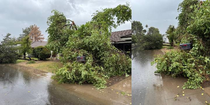 20K without power after severe storms hit Tempe, East Valley