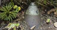 Undetonated shell from World War II training found at Dolly Sods Wilderness Area