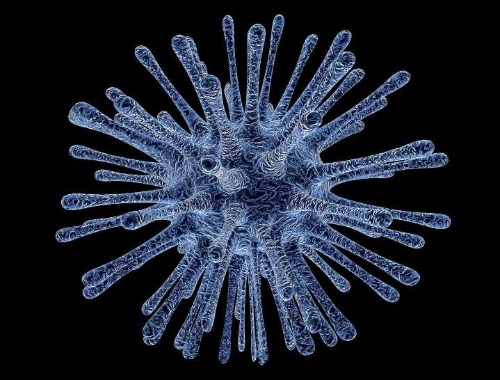 Understanding Listeria: The Silent Threat Behind America’s Most Dangerous Foodborne Illness