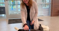 A dog disappeared from his California home. He was found 2,000 miles away