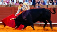 The Week Unwrapped: Can bullfighting win over young Spaniards