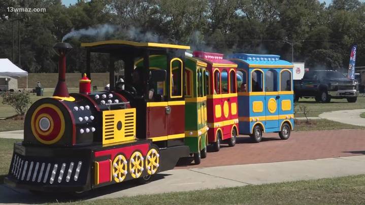 Central Georgia families have fun in the sun at Picnic in the Park