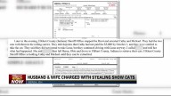 'Catnapping' incident brings similar accusations to forefront