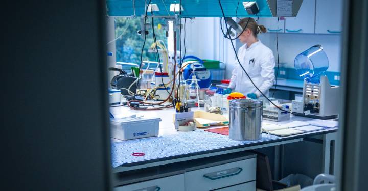 This experiment could end all life. Or it won’t. Should we try it?