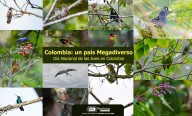 Colombia: un país Megadiverso