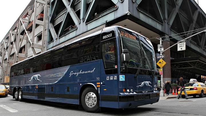 Greyhound steps up as government shutdown grounds flights, disrupts air travel