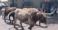 Merrillville-based White Lodging expands into Fort Worth Stockyards
