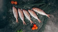 ¿Cuáles son los pescados que debemos comer, y los que no, por su contenido de mercurio?