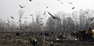 550 Tonnes Daily: J&K Govt admits Achan dump poses health & environment hazards