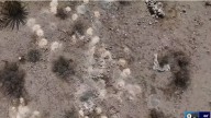 El enigma de cientos de restos humanos hallados en el desierto de Las Vegas
