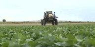 Kansas farmers sound alarm over soybean tariffs