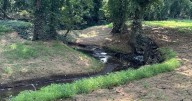 Attention Tennesseans! Water quality grant proposals now accepted