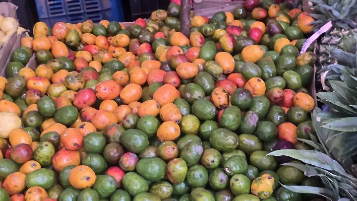 Frutas de temporada se mantienen accesibles en el mercado Adolfo López Mateos