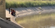 Seven deaths reported in Houston area bayous draws speculation