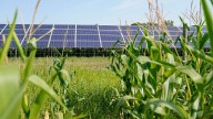 Blocking fossil fuels keeps developing nations poor