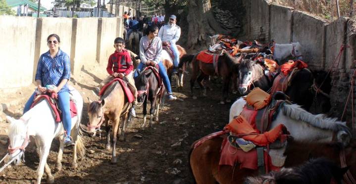 Green tribunal caps tourist, horse count in Kufri to protect its ecology