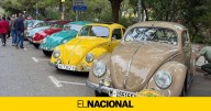 La 31ª Concentración de Volkswagen Classics reúne a 600 personas y 200 vehículos en el camping Cala Pola