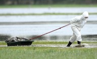 Rapid early spread of bird flu in Europe raises fears of fresh crisis