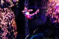 Labor strike at Casa Bonita includes 57 divers, gorilla performers and more