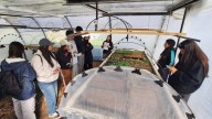 Alumnos de la EPEA de Plottier viajaron a la región de Los Lagos para conocer sobre procesos productivos