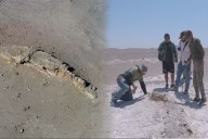 Mario Urbina: el descubridor de fósiles y su legado en video