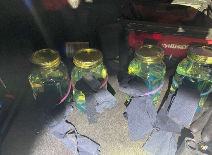Man with Molotov cocktails in trunk planned to burn down businesses, ATF says