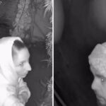 Burglar couple steals from Scottsdale eatery, deflowers their rose