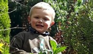 Parents jailed after three-year-old boy mauled to death by dog on farm