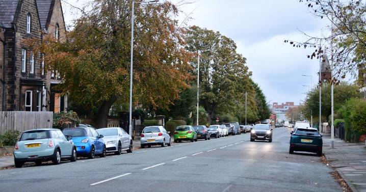 Stranger jumps in woman's car and stabs man in back seat in 'horror movie' attack