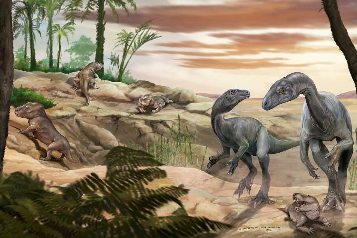 “Huayracursor jaguensis”.  Científicos del Conicet encontraron uno de los dinosaurios más antiguos del mundo en La Rioja