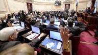 El peso estratégico de la Patagonia en esta elección: se ponen en juego 9 bancas en el Senado que son clave para el Gobierno