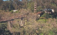 Potencian ecoturismo en el Parque de los Ciervos