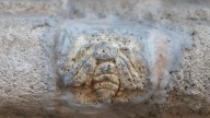 Un escultor clandestino incrusta una abeja de piedra en una fachada de la Basílica del Pilar de Zaragoza
