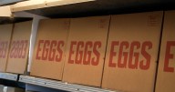Rosemary Farm to donate more than 100,000 eggs to California military bases
