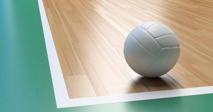 High school girls' volleyball: Playoff results and schedule