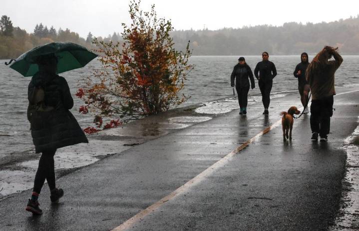 Gusts up to 77 mph knock out power for 118K around Western WA