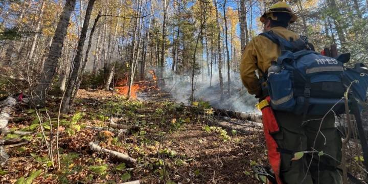 Crosby Fire 50% contained now 300 acres