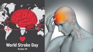 World Stroke Day 2025: Experts Reveal Early Warning Signs You Should Never Ignore