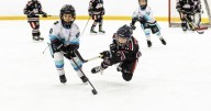 New hockey program ‘distinctly different’