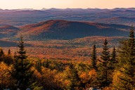 NYup.com writers share ideas for top autumn adventures (Letter from the Editor)