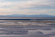 Trump administration finalizes plan to open pristine Alaska wildlife refuge to oil and gas drilling